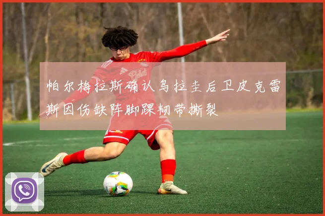 帕尔梅拉斯确认乌拉圭后卫皮克雷斯因伤缺阵脚踝韧带撕裂